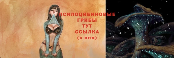 скорость Осташков