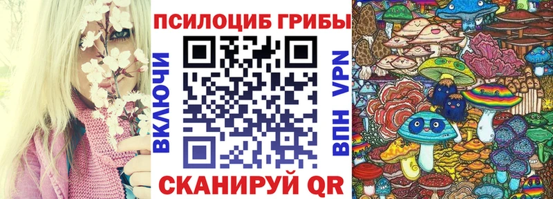 Псилоцибиновые грибы прущие грибы  Североморск 